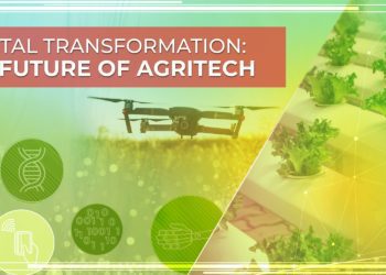 Digital Transformation Insights – Six AgriTech Advances Reshaping Farming