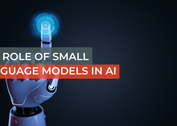 The Role of Small Language Models in AI