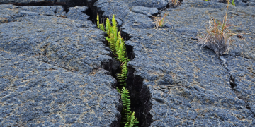 True Resilience Is Built Beforehand or Not at All